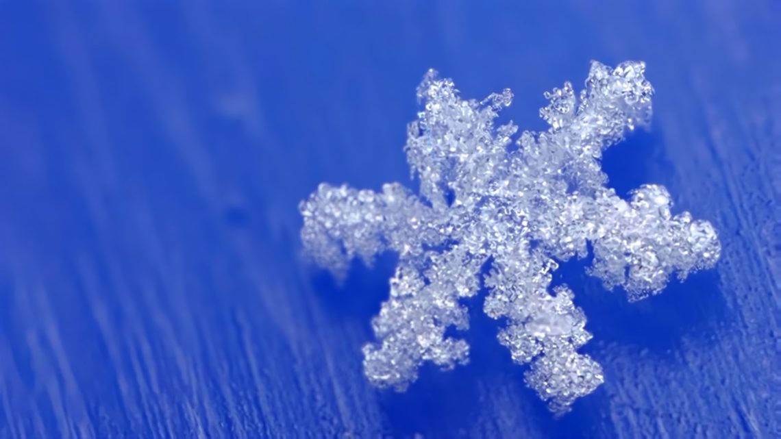 Снежные кристаллы