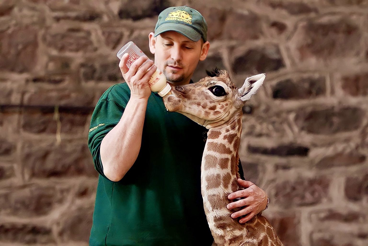 Зоологи выделяют. Зоолог. Зоолог профессия. Маленький Жираф. Жираф и человек.